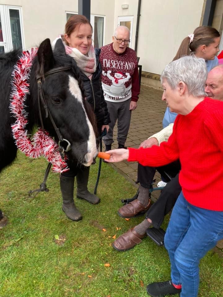 Visit From Staff Member's Horse