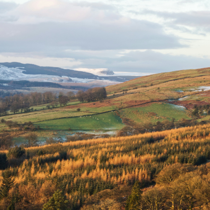 View of a landscape in nature