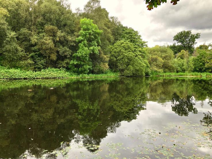 landscape of mugdock bay