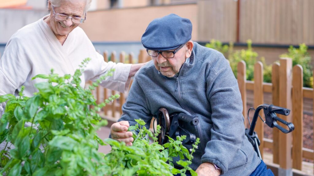 elderly people looking at plants in a garden